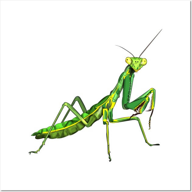 Mantis Wall Art by Worldengine